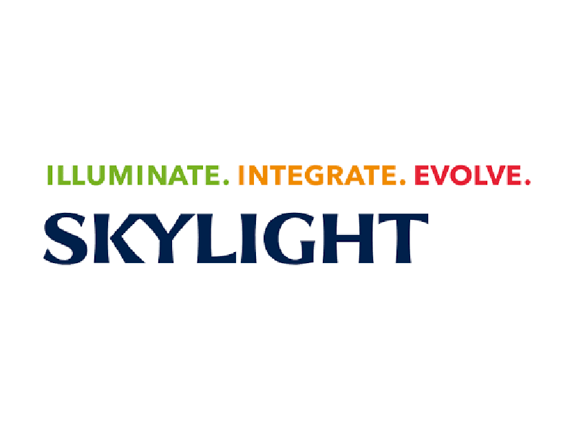 companies-DB-Skylight